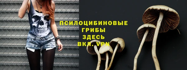 первитин Богородицк