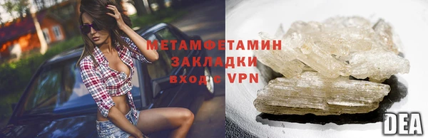 прущие грибы Богородск