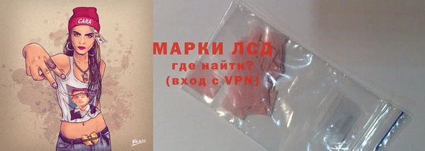 прущие грибы Богородск