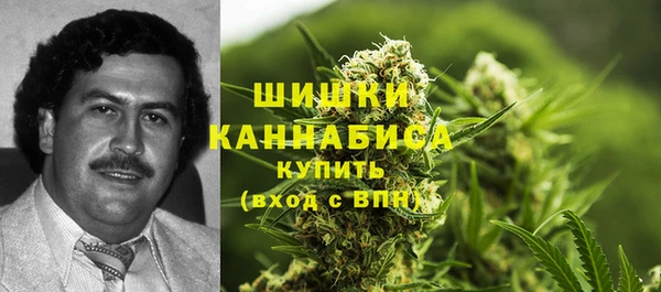 2c-b Богданович