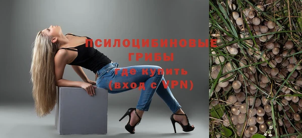 первитин Богородицк