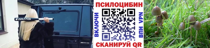 Псилоцибиновые грибы GOLDEN TEACHER  omg маркетплейс  Ульяновск 